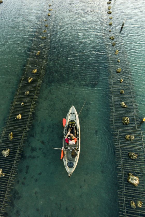 Modern oyster farms are fragile, so ensure you avoid contact with infrastructure including poles, cages and shade cloth.